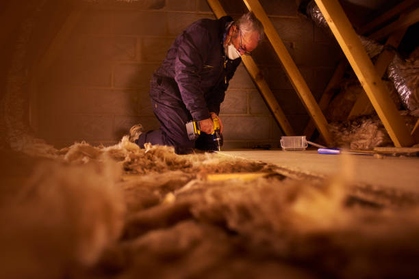 Best Soundproof Insulation Installation  in Ellsworth, WI